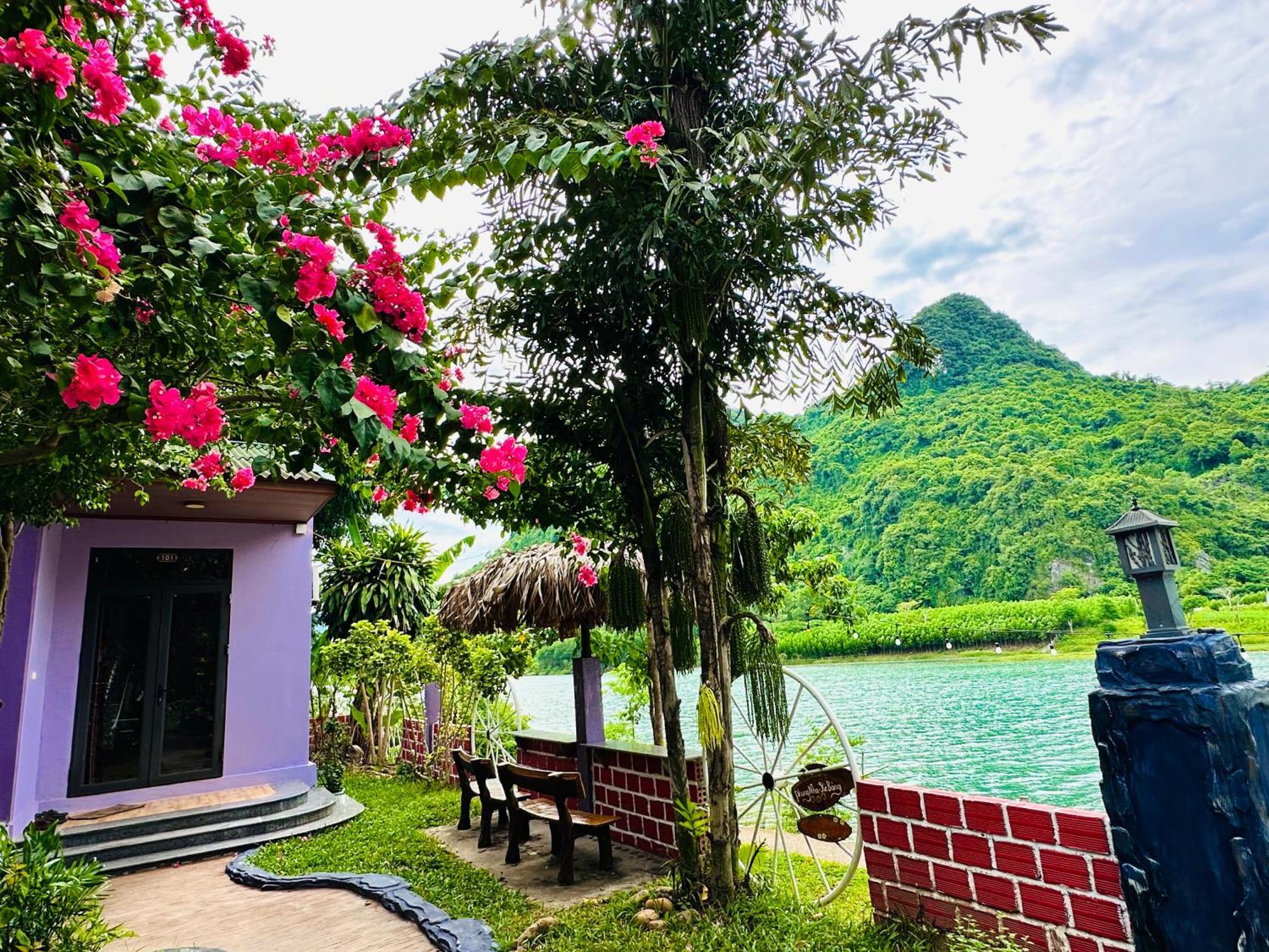 Son River House Phong Nha Eksteriør billede